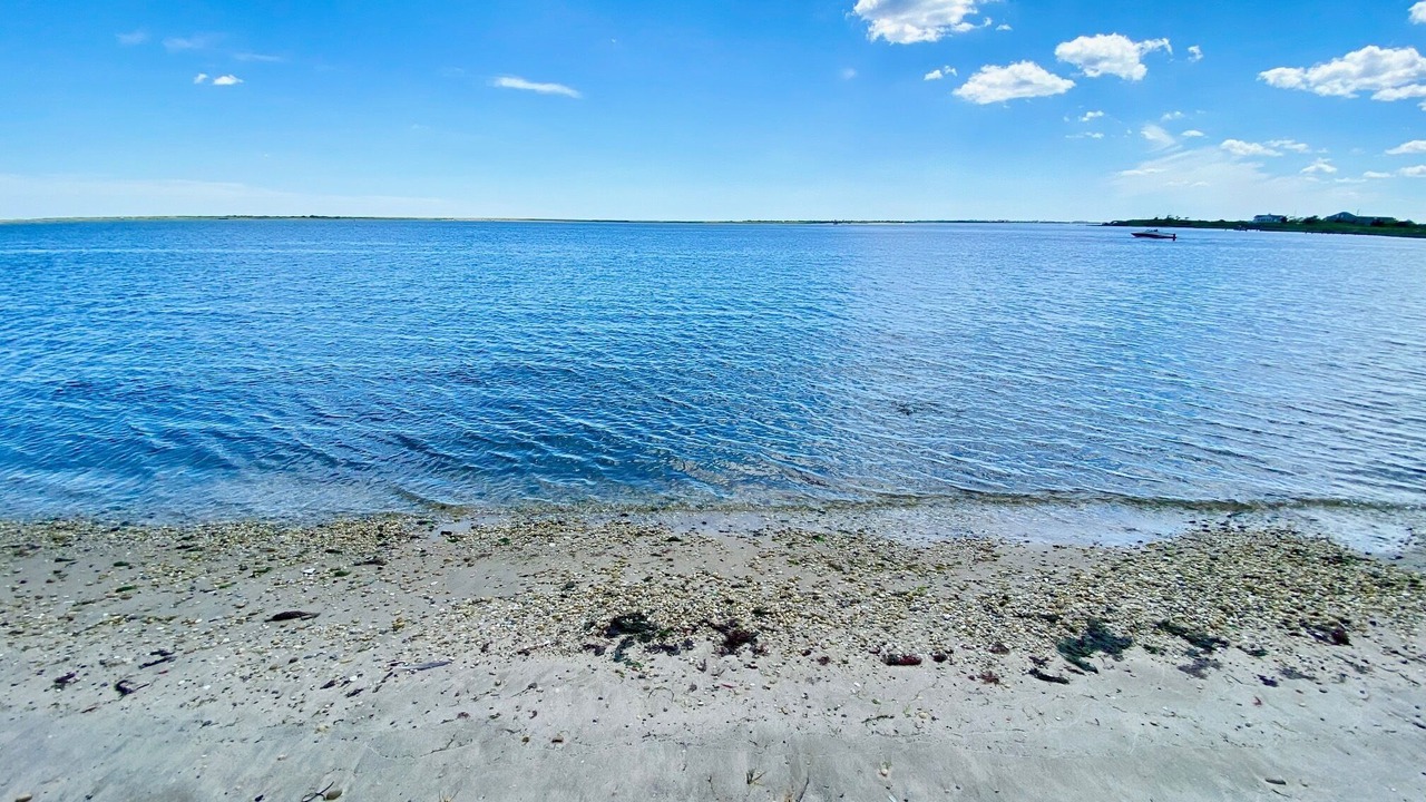 Photo of Others in Mastic Beach