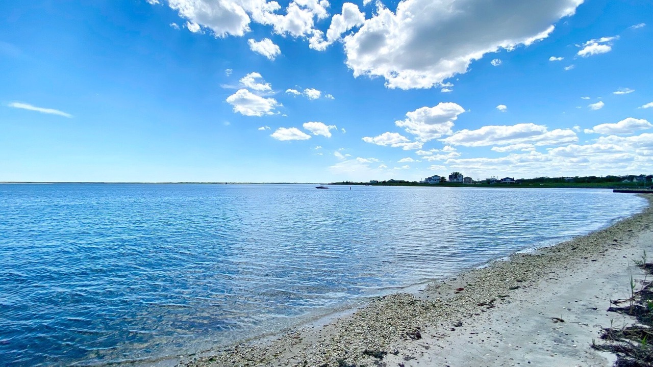 Photo of Others in Mastic Beach