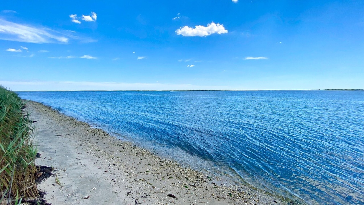 Photo of Others in Mastic Beach