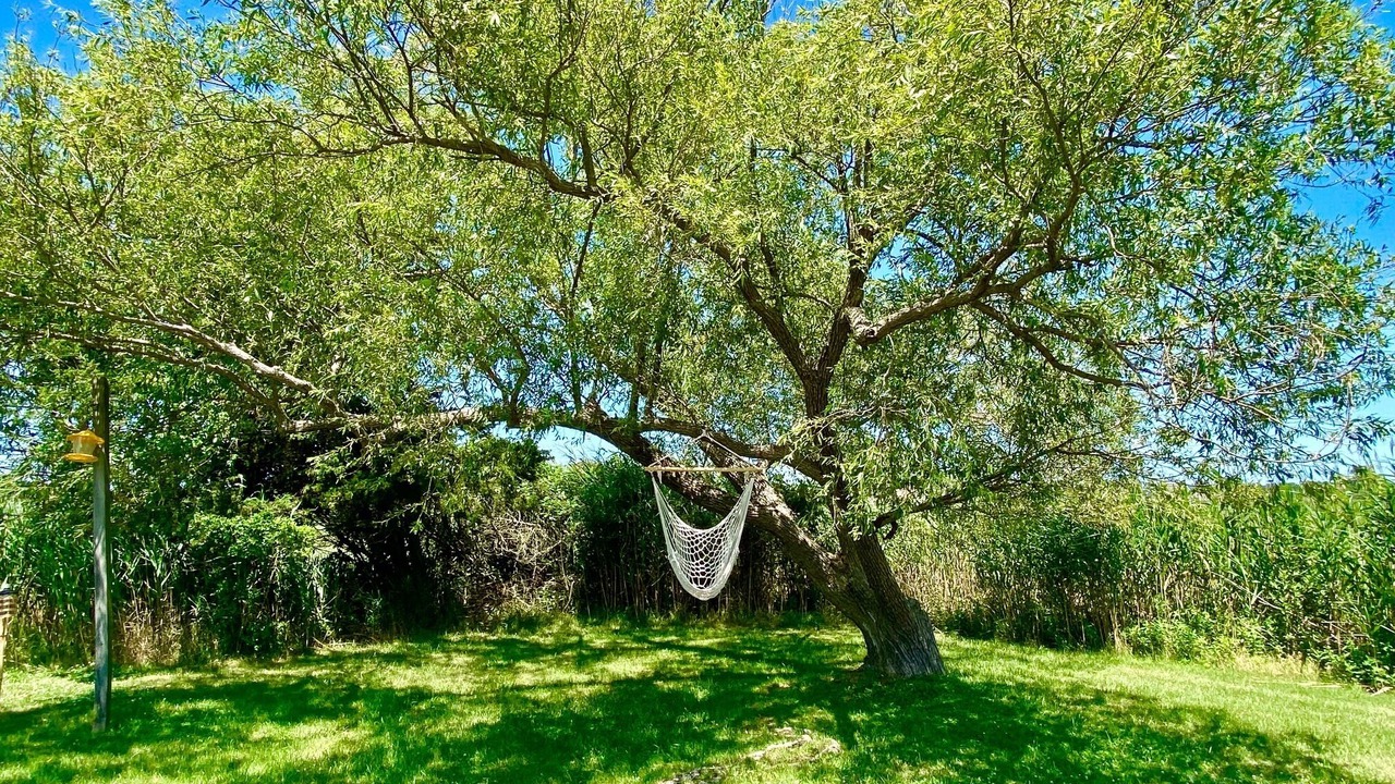 Photo of Outdoor in Mastic Beach