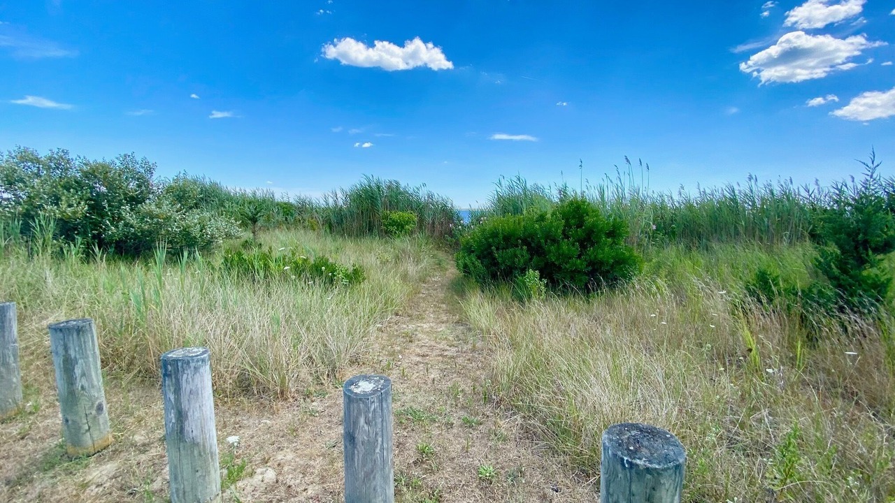 Photo of Outdoor in Mastic Beach
