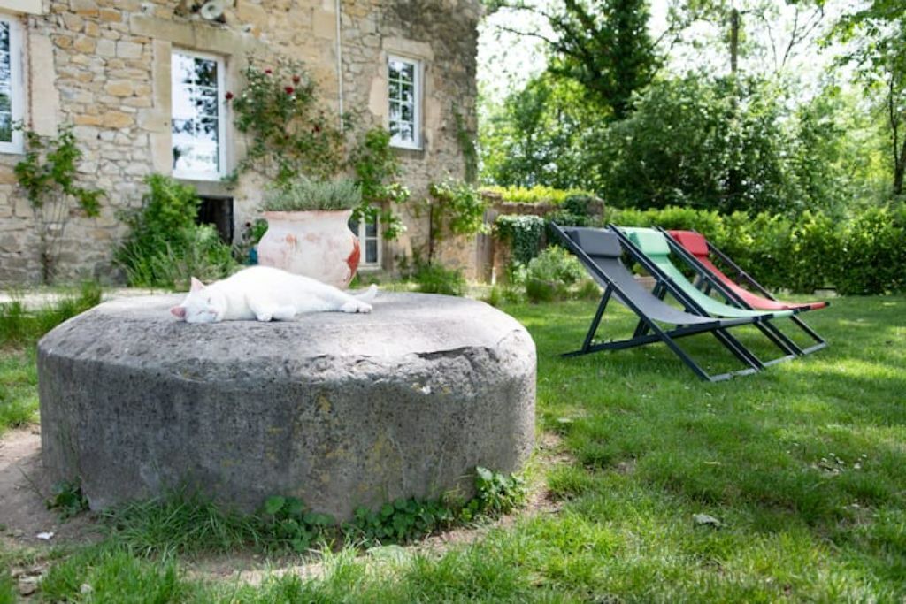 Photo of Outdoor in Rochegude