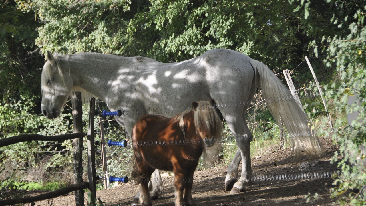 Photo of Outdoor in Rochegude