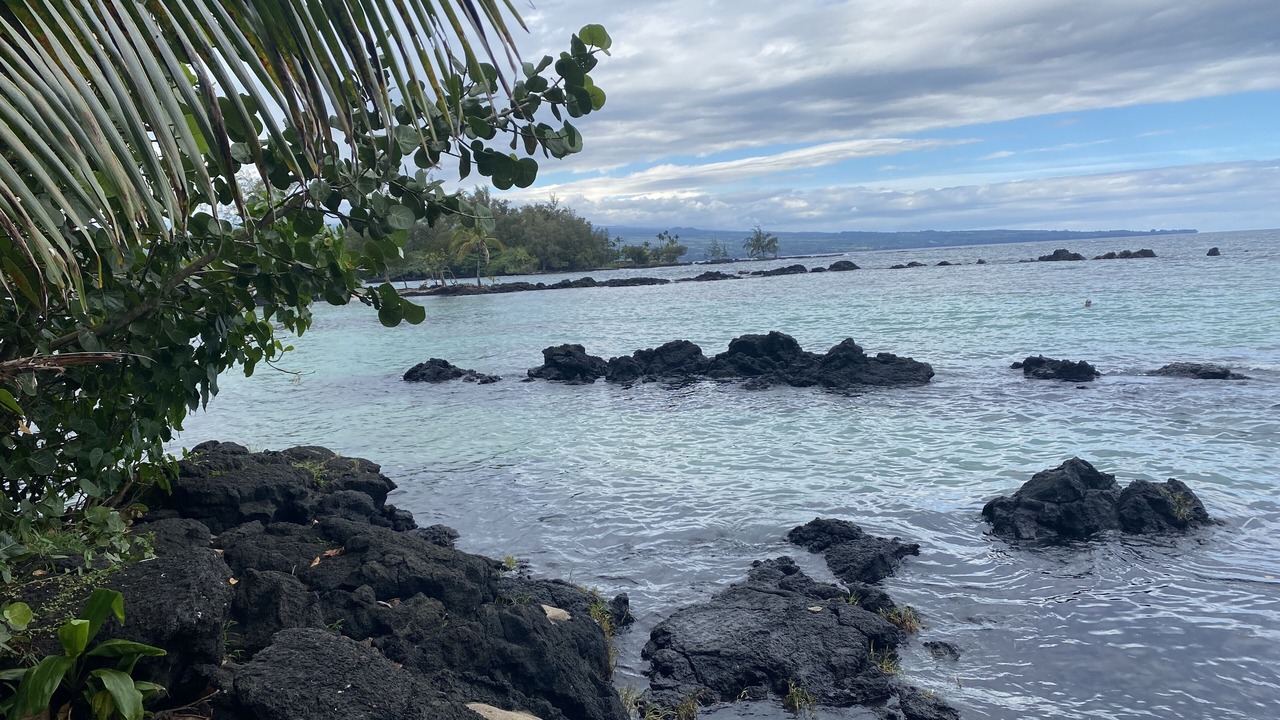 Photo of Outdoor in Keaau