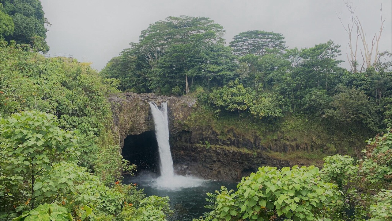 Photo of Outdoor in Keaau