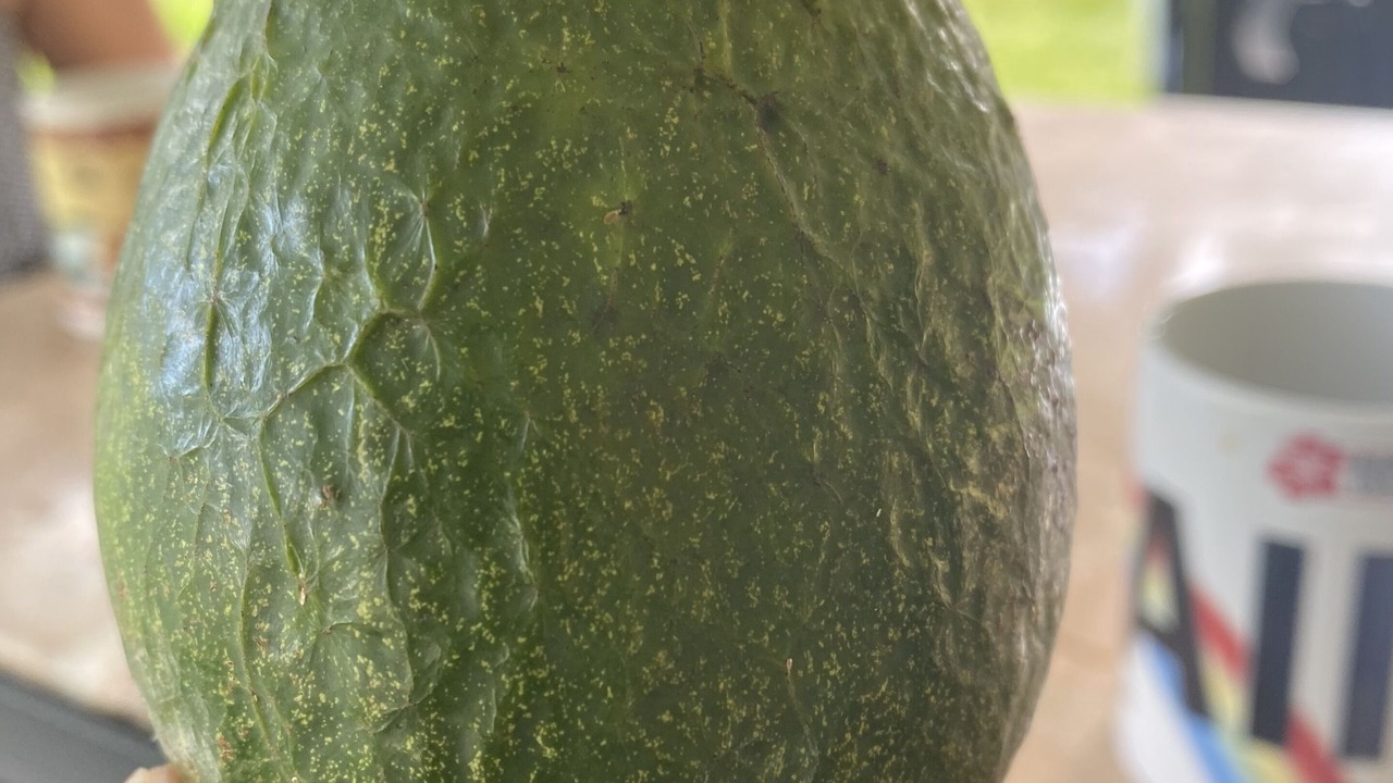 Photo of Others in Keaau