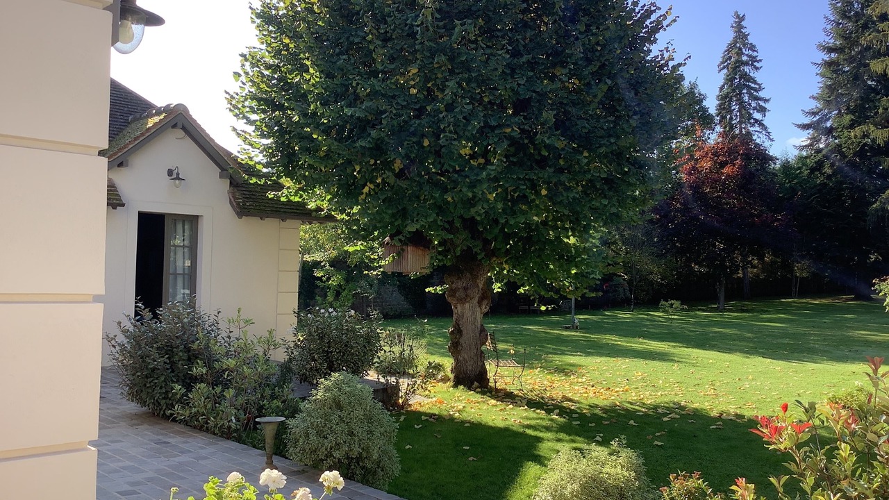 Photo of Outdoor in Barbizon