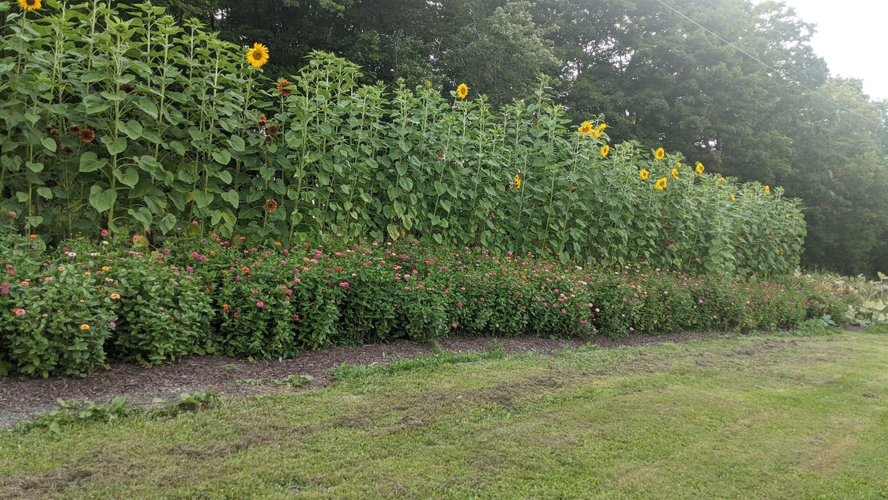 Photo of Others in Laurens