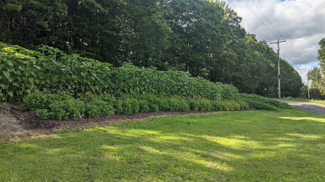 Photo of Others in Laurens