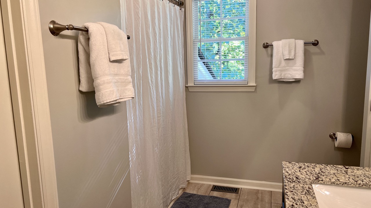 Photo of Bathroom in Apex