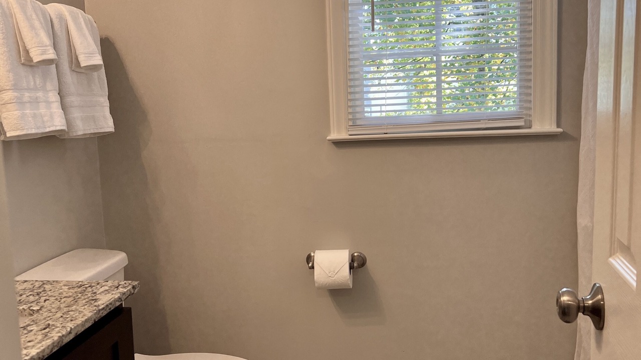 Photo of Bathroom in Apex
