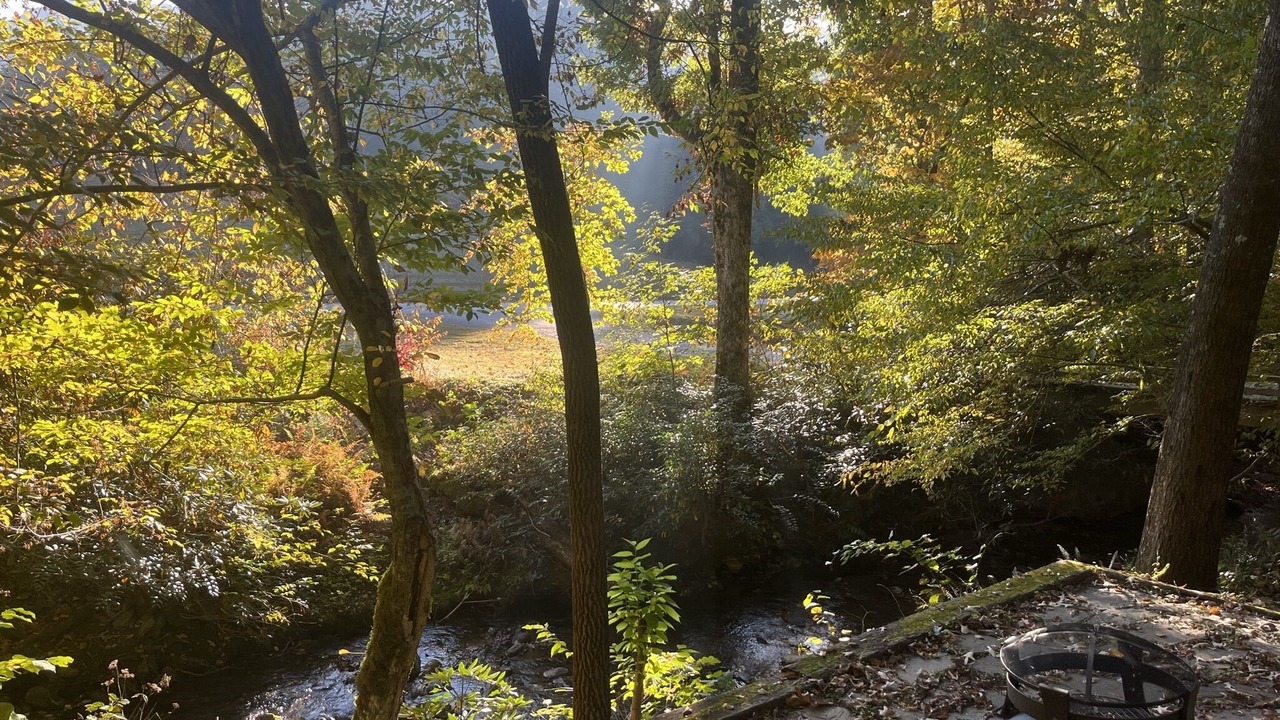 Photo of Others in Upper Peachtree