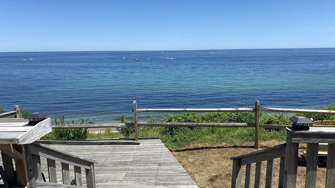 Photo of Others in Cedar Bushes