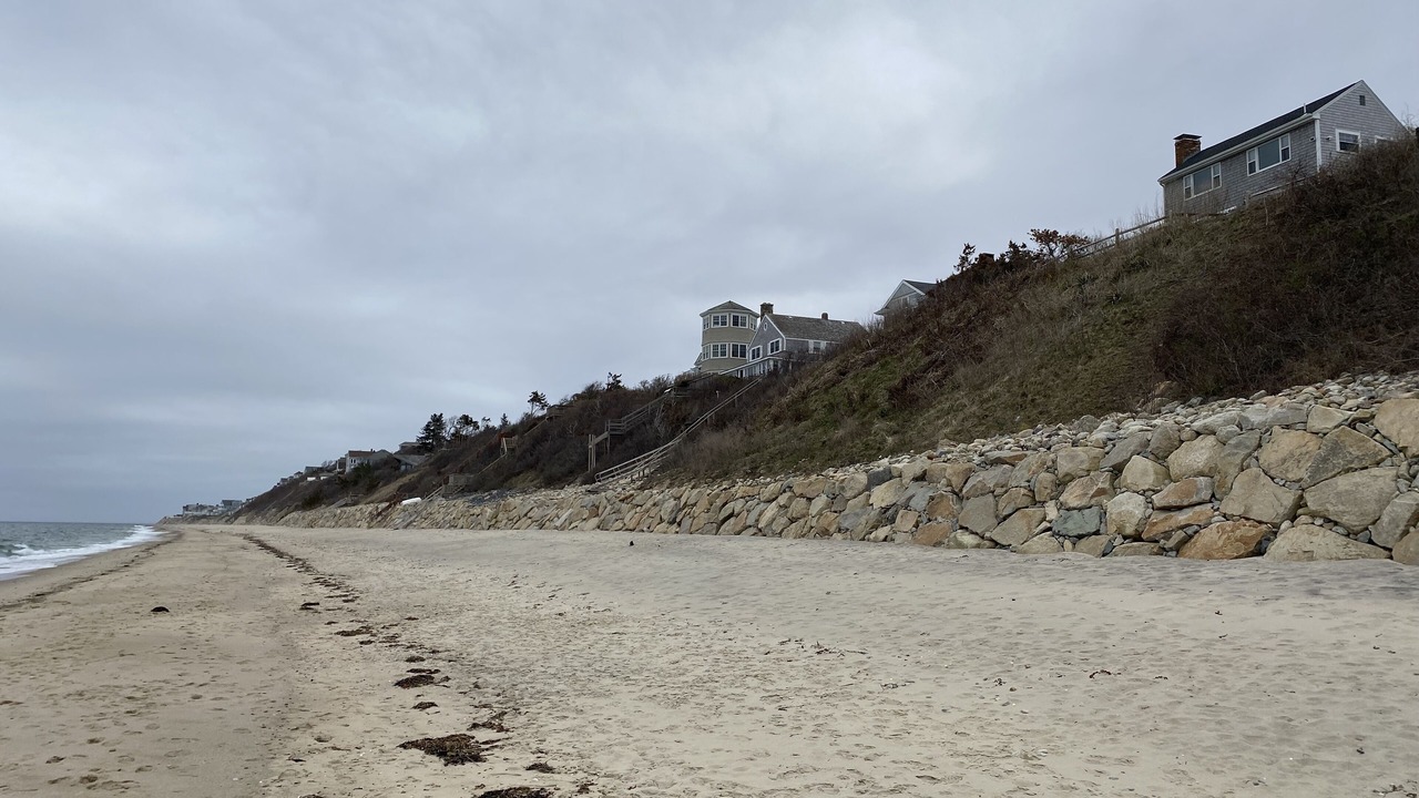 Photo of Others in Cedar Bushes