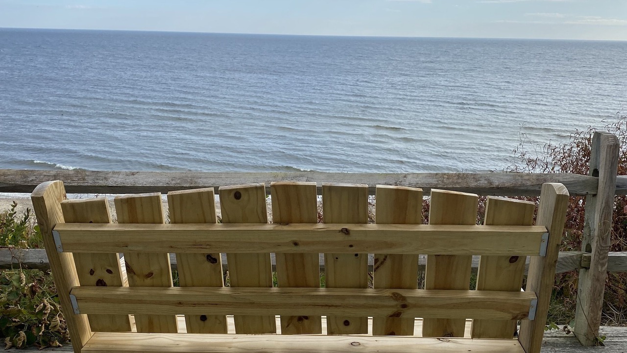 Photo of Others in Cedar Bushes