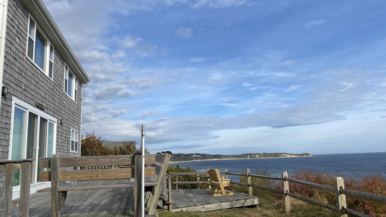 Photo of Others in Cedar Bushes
