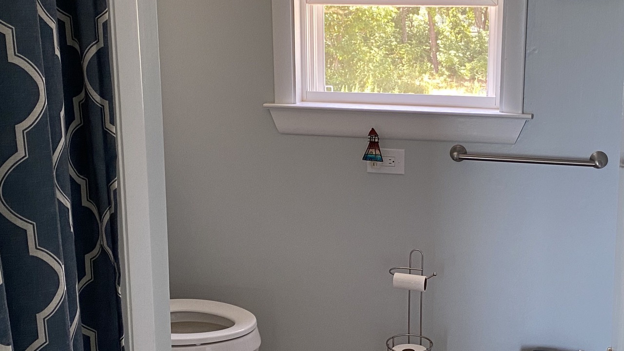 Photo of Others in Cedar Bushes