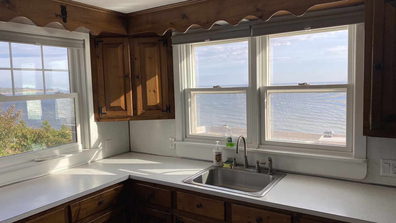 Photo of Others in Cedar Bushes