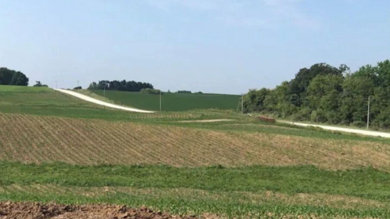 Photo of Others in Spring Valley