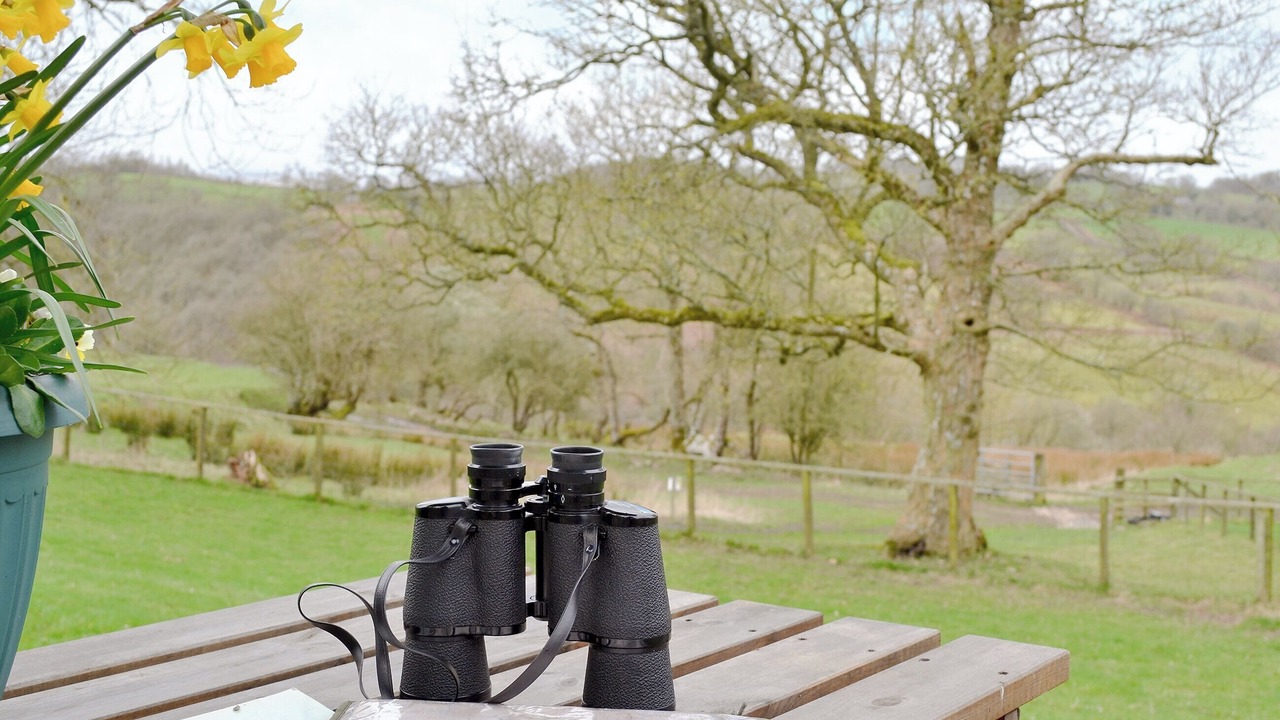 Photo of Others in Penybont