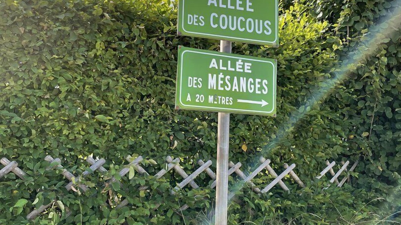 Photo of Outdoor in Metabief