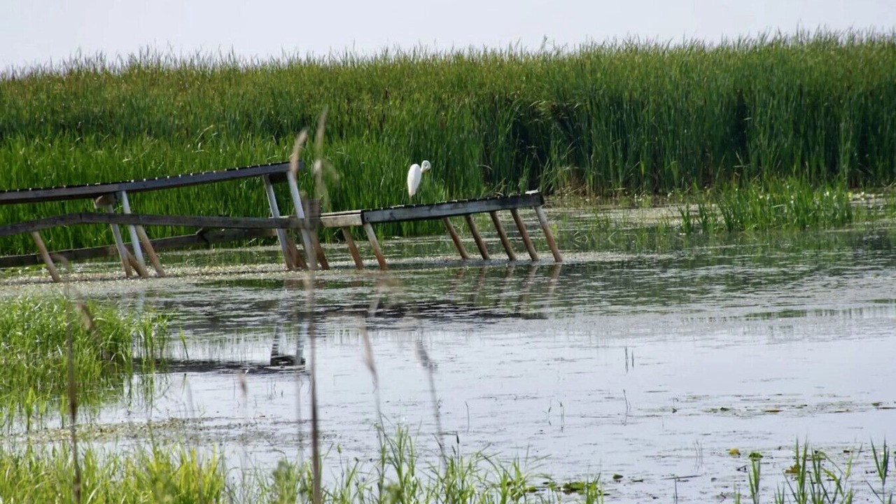 Photo of Others in Au Gres
