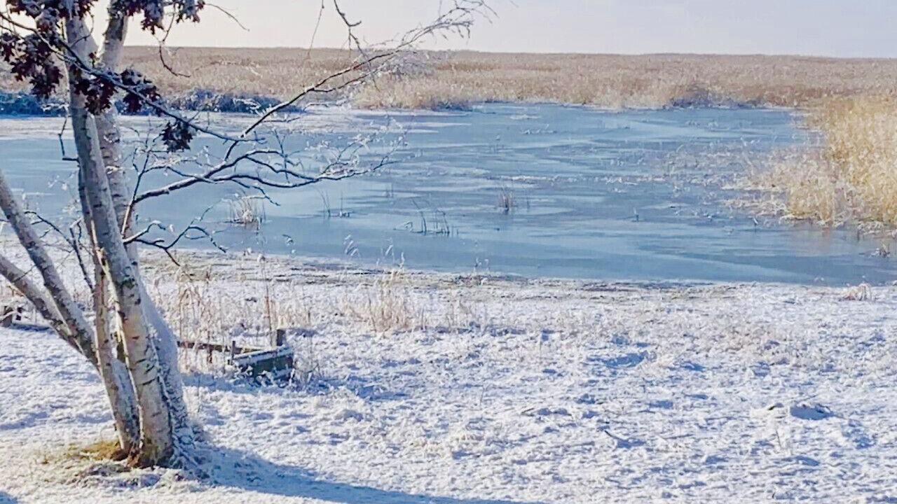 Photo of Others in Au Gres