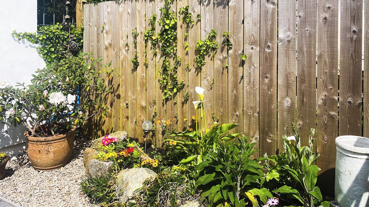 Photo of Outdoor in Camborne