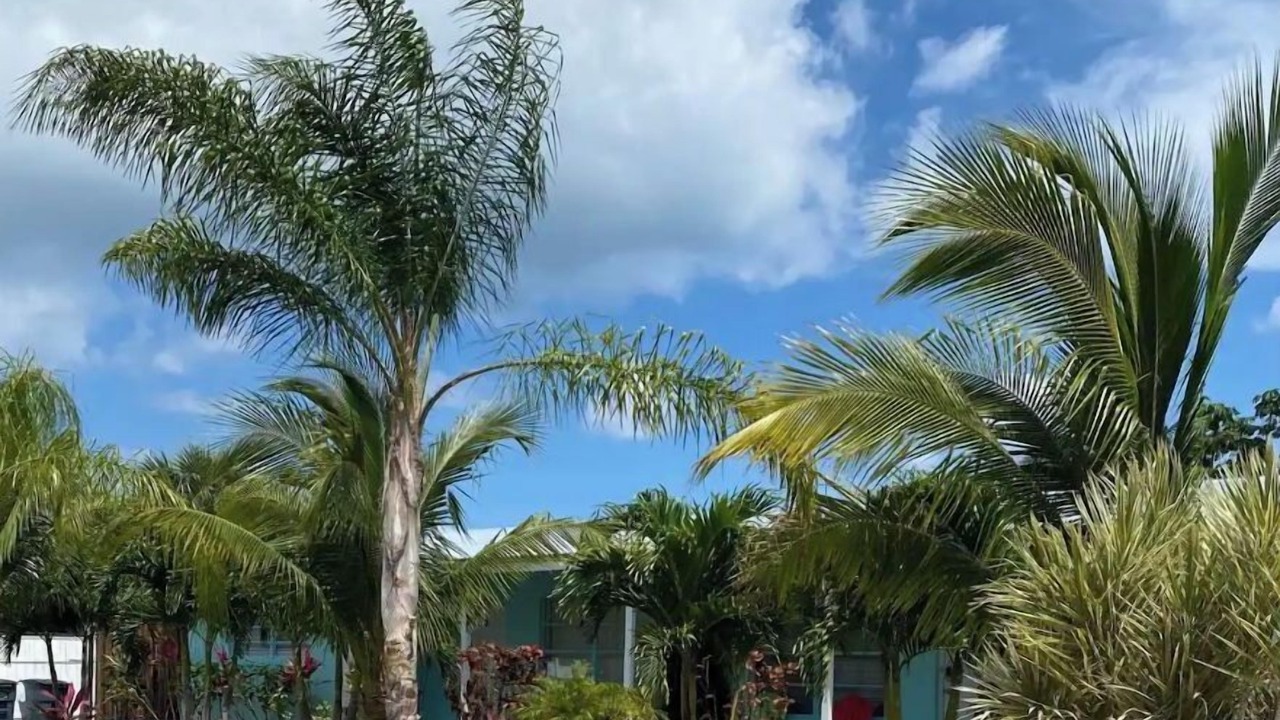 Photo of Outdoor in Jupiter