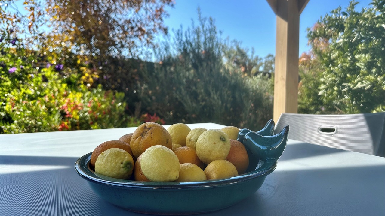 Photo of Others in Clare