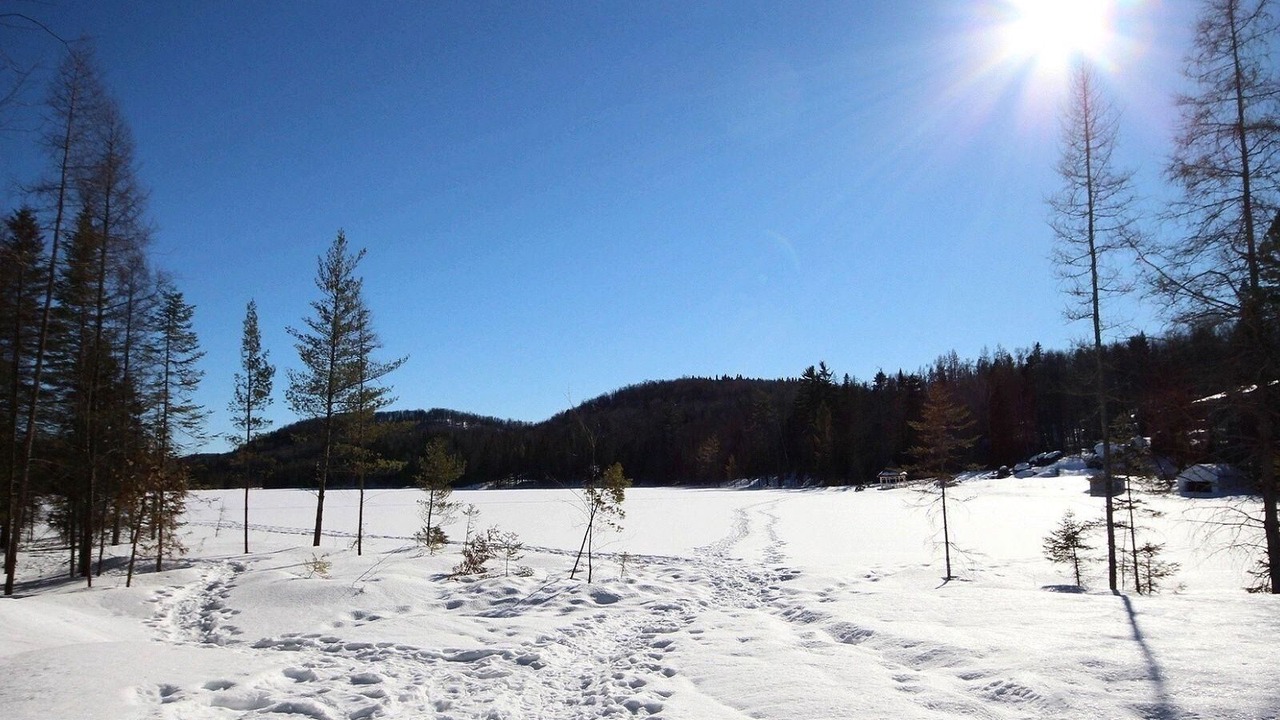 Photo of Others in Sainte-Marguerite-du-Lac-Masson