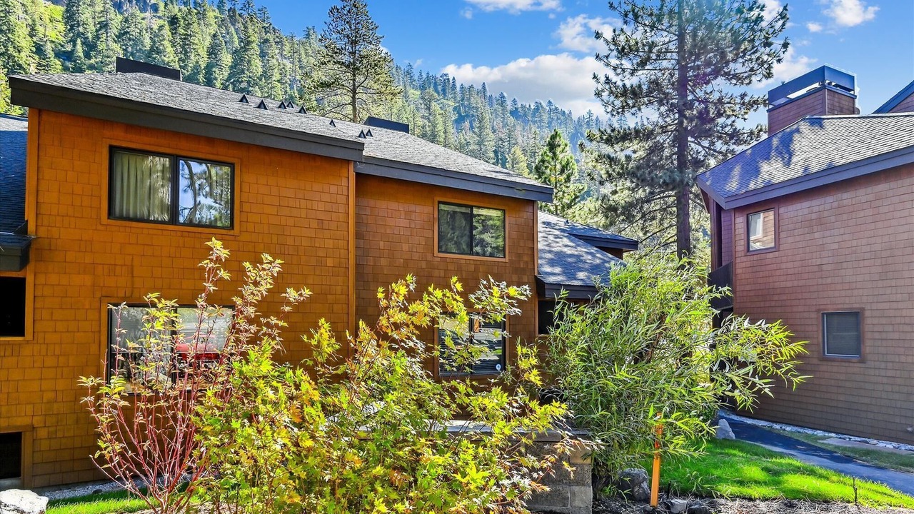 Photo of Outdoor in Tahoe City