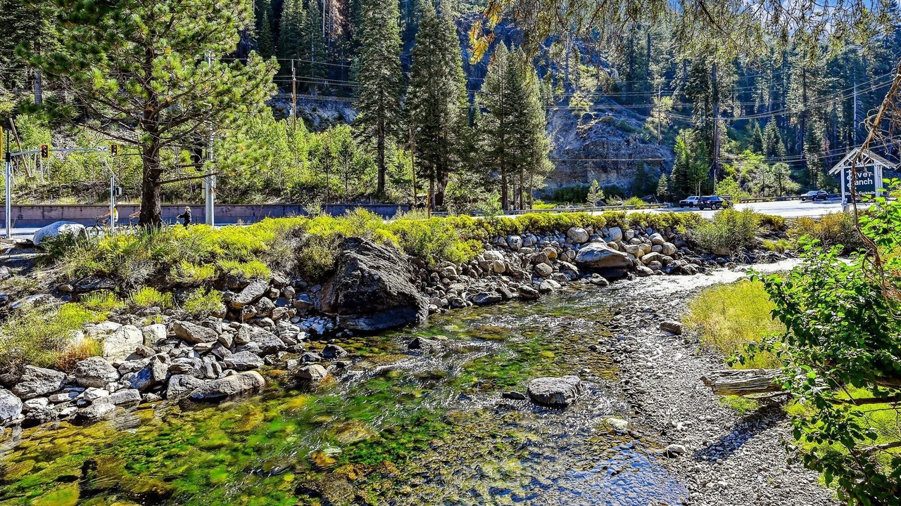 Photo of Others in Tahoe City