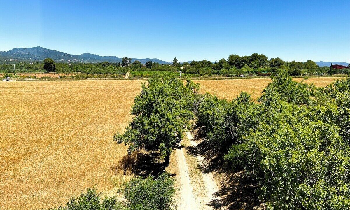 Photo of Others in Valls