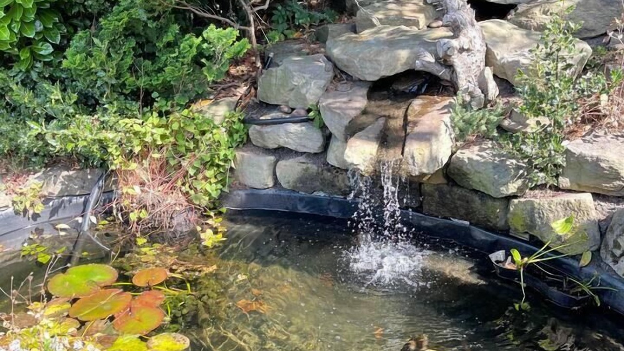 Photo of Others in Brighouse