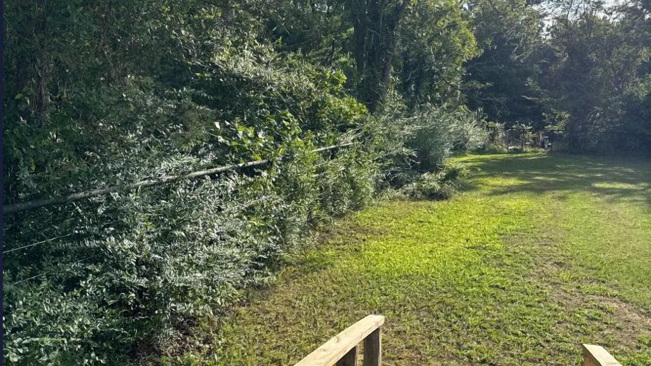 Photo of Outdoor in Tyler