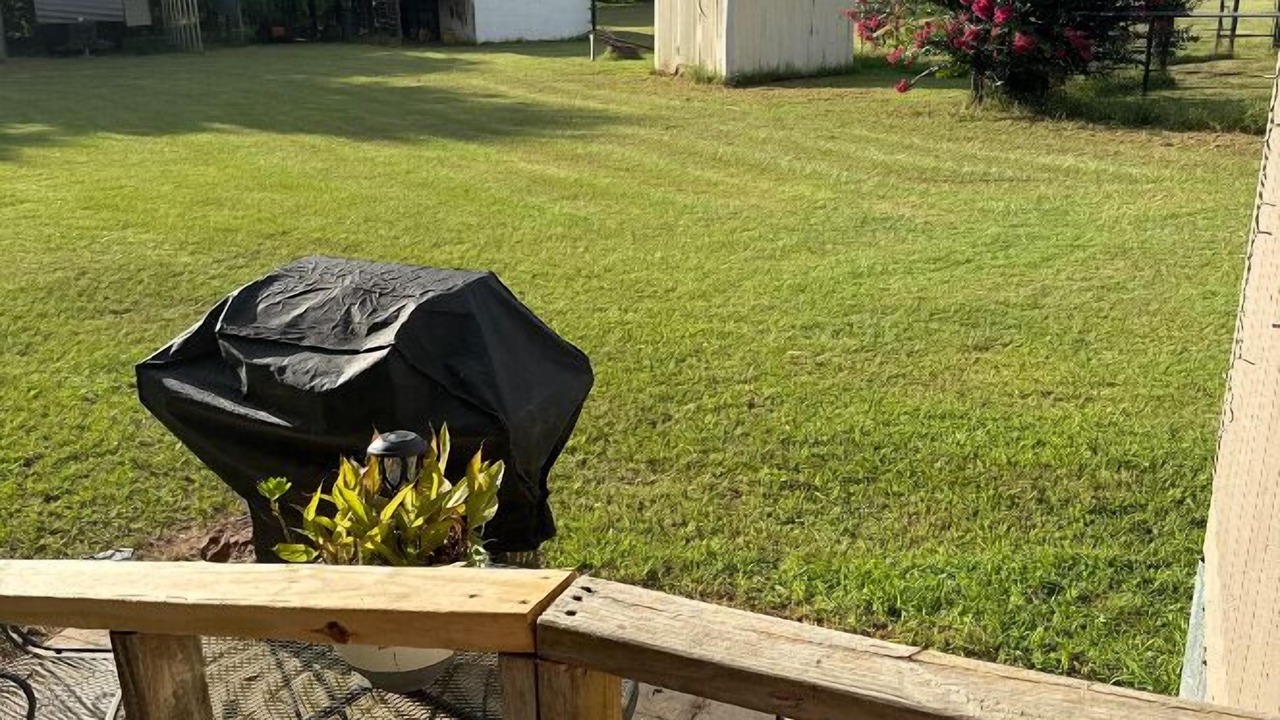Photo of Outdoor in Tyler