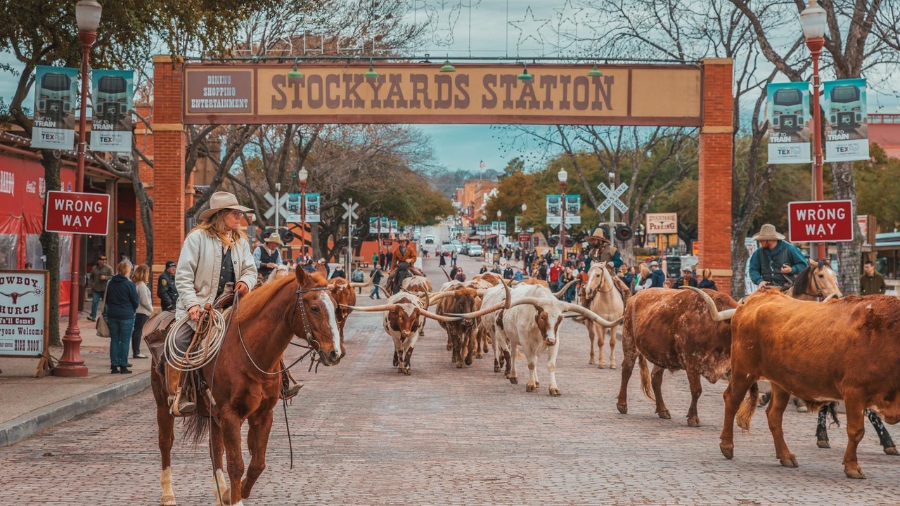 Photo of Others in Fort Worth