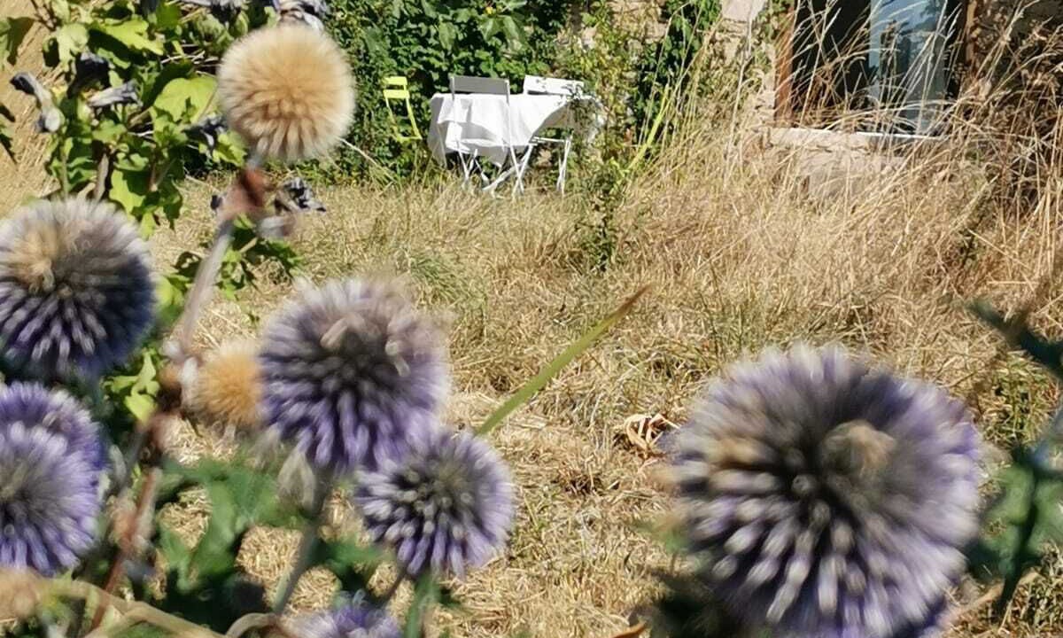 Photo of Outdoor in Firmi
