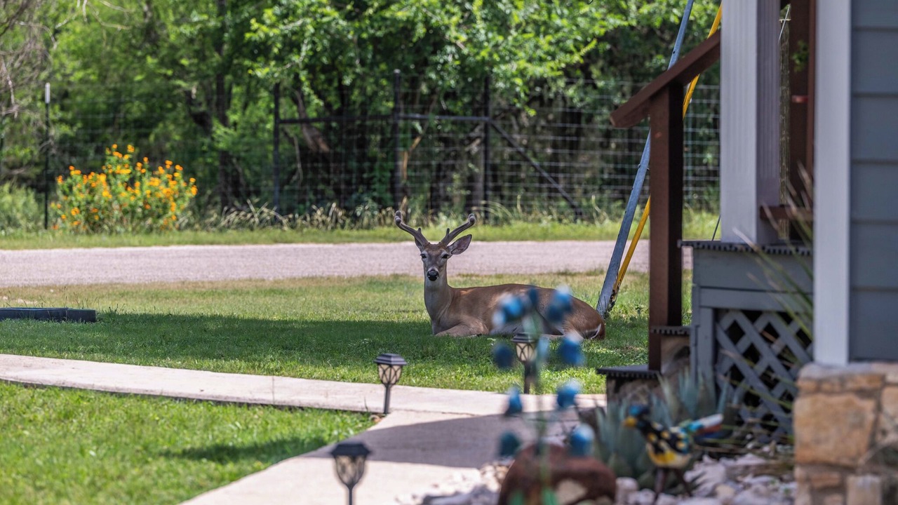 Photo of Outdoor in Bandera