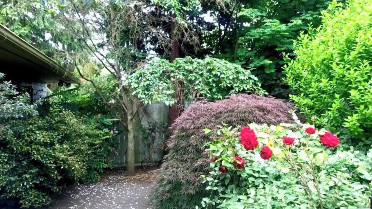 Photo of Outdoor in North Admiral