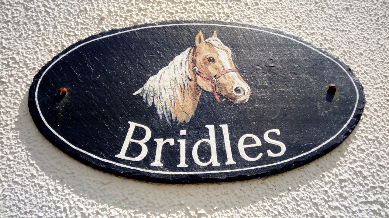 Photo of Others in Arundel