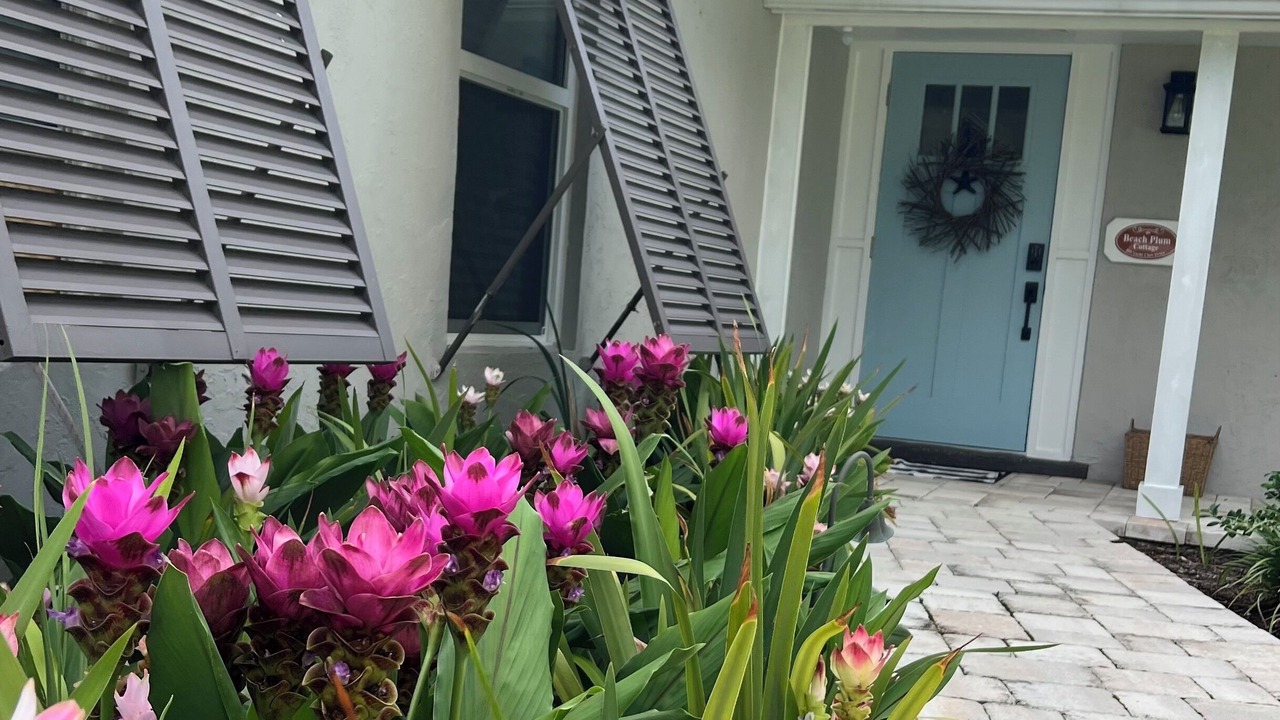 Photo of Outdoor in Yacht Club Estates