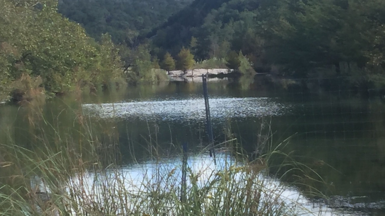 Photo of Others in Camp Wood