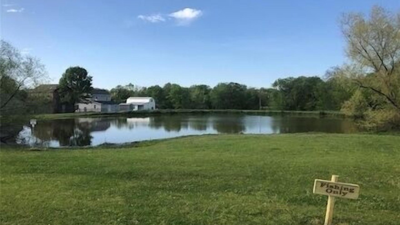 Photo of Outdoor in Hawkins