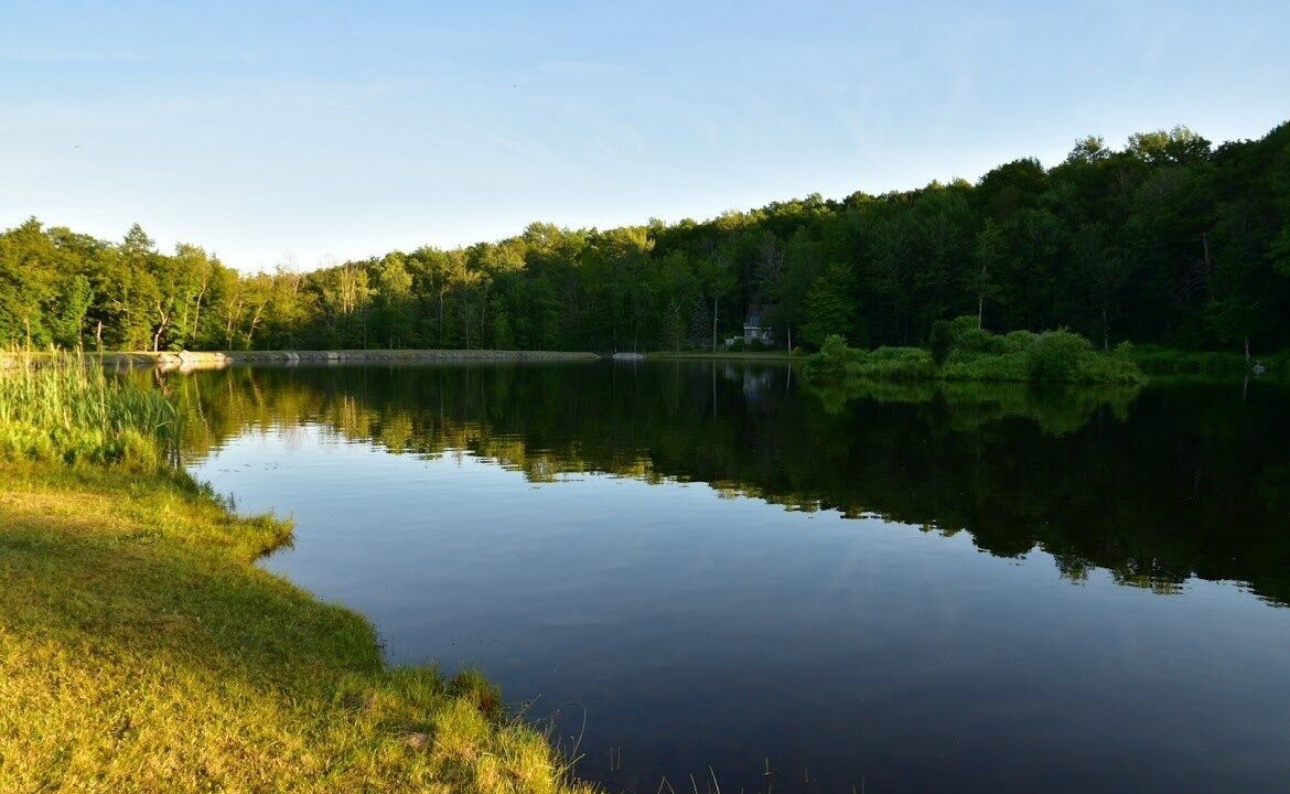 Photo of Others in Sherwood Forest