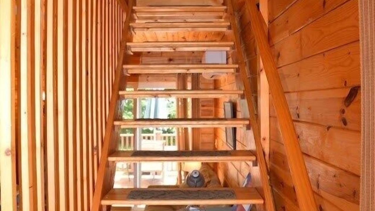 Photo of Others in Sherwood Forest