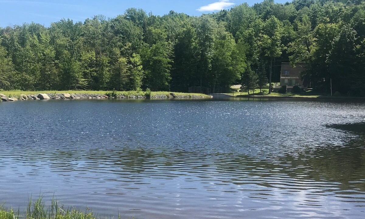 Photo of Others in Sherwood Forest