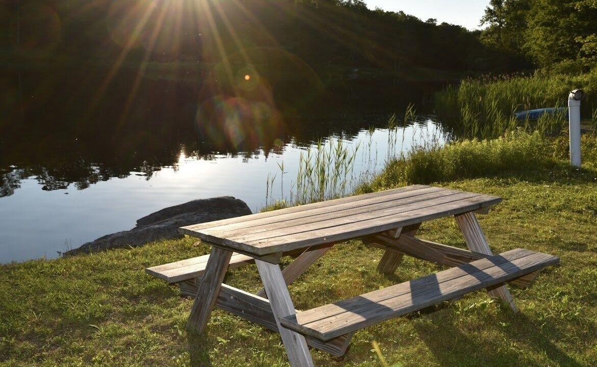 Photo of Outdoor in Sherwood Forest