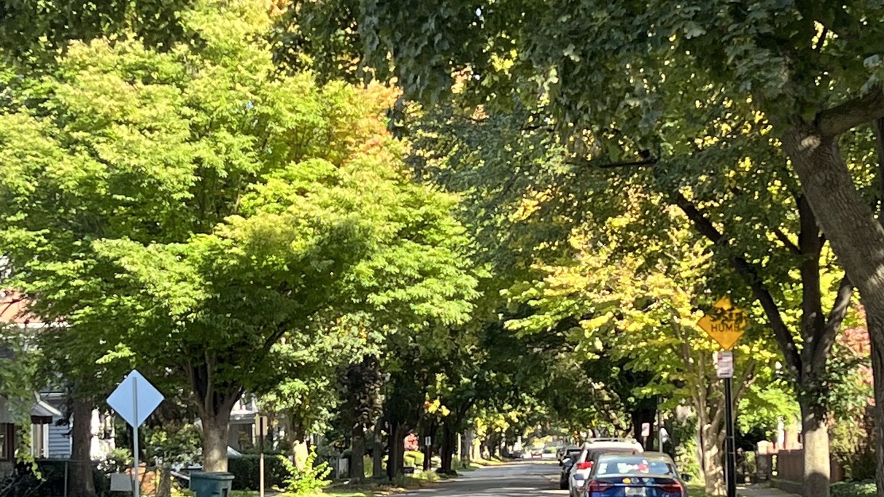 Photo of Outdoor in South Wedge